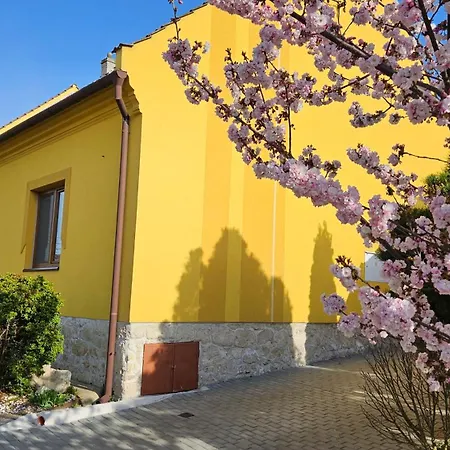 Podzamci Apartment